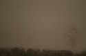 Corbett with its vast scapes tantalises and teases..a small dust storm seems magical in its colours and hues....
