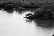 Dear Friends,

Wanted to show the loniless in this picture as the reef heron is sitting all alone on the banks of the river..please do let me know your feedback on this image