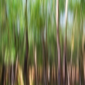 A deliberate hand held panning shot on a slow shutter to render some abstract feel. Shot in Gokarna.

EXIF: ISO 200, 1 s, F8