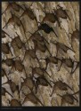 mosiac of bats, from my recent journey to thar desert. the simple, yet confusing patterns formed reminds me of tessellated graphical works of the dutch artist, m.c.escher.

thank you for your critics and ratings. regards.
nevil