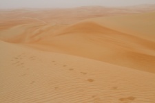 #CNPdryanddeserted
Rub Al Khali - one of the most hot and dry places you can find. 
From a daytrip on the honeymoon many years ago.