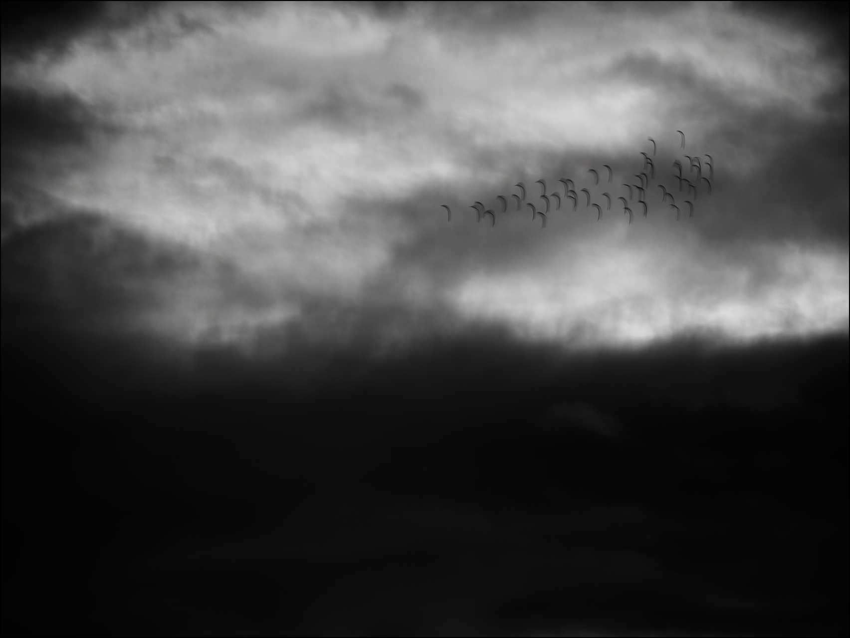Birds and Clouds