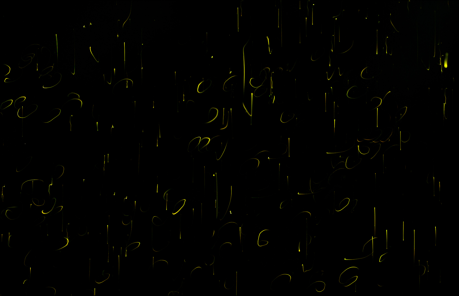 Fireflies - Print vs Display
