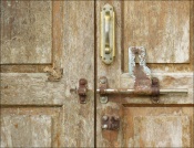 Door of an abandoned anti-poaching camp in a jungle in Western Ghats.