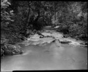 4X5 . Banal because the actual scene the stream was very muddy and brown and light conditions poor.