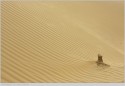 one more from the sanddunes of thar desert. i titled so as that wind eroded core looks very phallic, in the soft rippled surroundings.

thank you for critiques and ratings. regards.
nevil zaveri