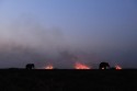 Just back from a week long trip to Kaziranga National Park. Controlled burning of the grassland is going on as of now. Tried to frame the grassland on fire using couple of safari elephants (not wild). Thanks for your views..

Hope to catch up with the posted images soon..