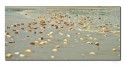 Hi all, 

Sorry again for flooding the Forum with images... If anyone wish me to slowdown (or limit images) please let me know... 

Here is another version from the seashore of shells... The title I have given as Diya's Of Deep... I felt this as the Deepavali's (Diwali) Diya on the shore... for moments... I dont know if you feel the same or any improvements to the image please let me know... Your views are most welcome....

Thanks,
Raghu
[url]http://www.prathiphalan.com/[/url]