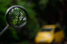 This is the fourth image in the reflection series. This is the reflection of a tree from a scooter's mirror. That is a mini-car in the background (A Nano). 8-)